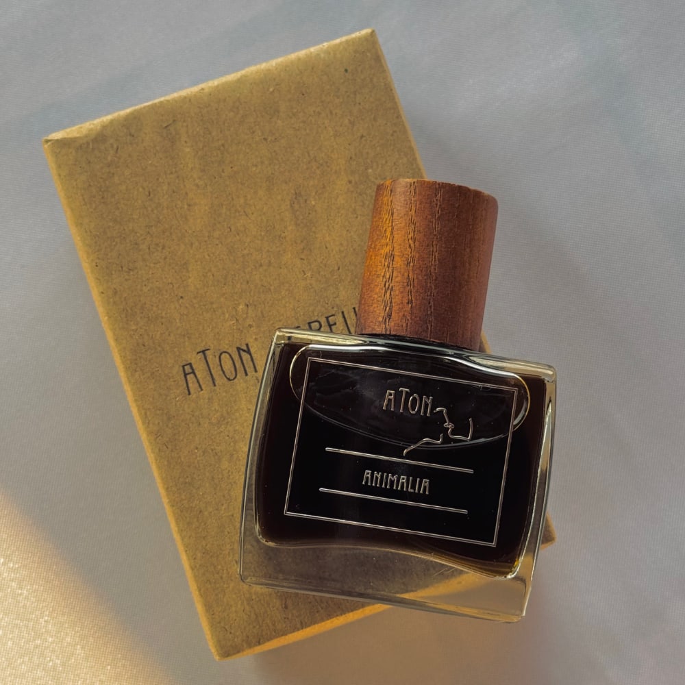 Aton - The Bright Lights